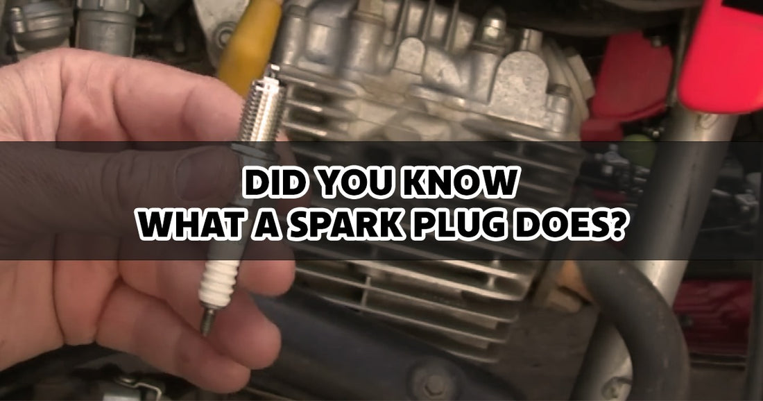 Did You Know What a Spark Plug Does?